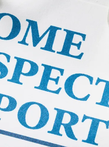 Home Inspection image