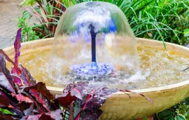 Fountains image