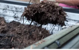 Mulch Delivering image